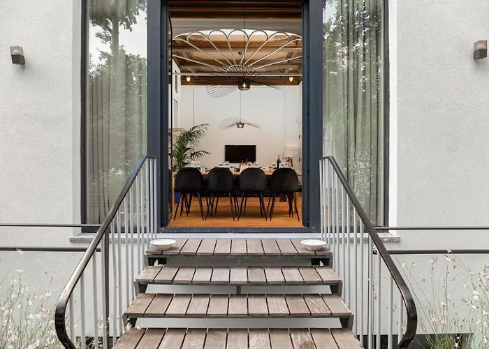 Sweett - Saint Bernard Bruselas