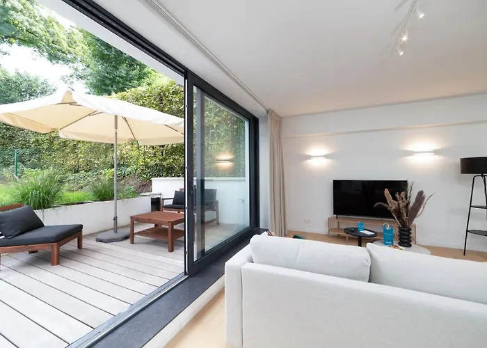 Sweett - Saint Bernard * Bruselas