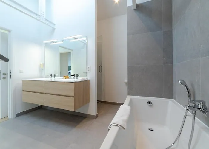 Sweett - Saint Bernard