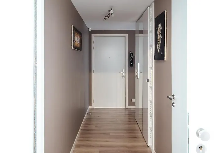 Midi-suède Bruxelles