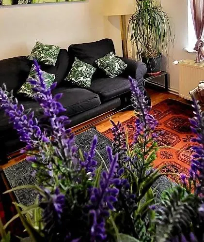 Bright Close To Zaventem Airport * Bruselas