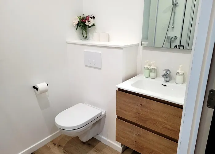 Brand New Iris With Private Bathroom And Balcony Gasthuis Brussel