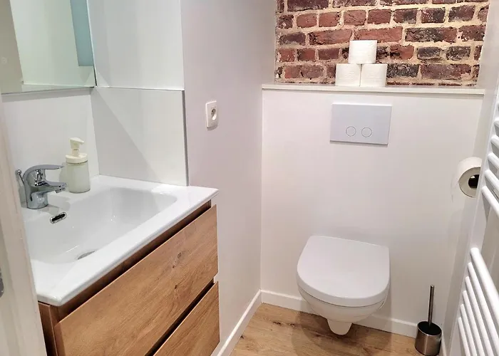 Brand New Iris With Private Bathroom And Balcony Gasthuis