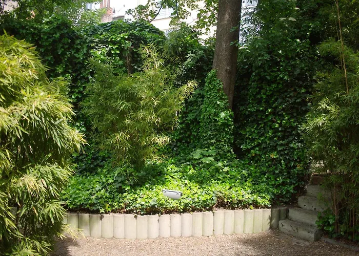 ドゥ コングレス 3*