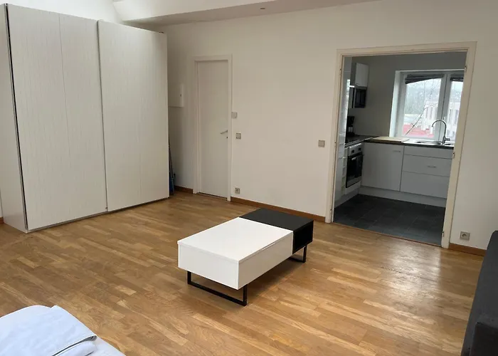 Uccle Chic Flat شقة بروكسل