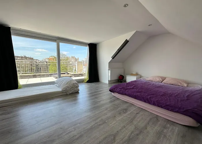 Dreamland Eu, Brüssel