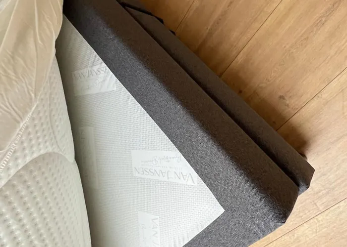 Cosy Nest * 布鲁塞尔