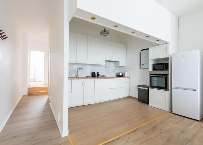 My - Flagey 브뤼셀