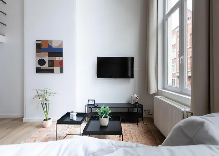 My - Flagey 브뤼셀