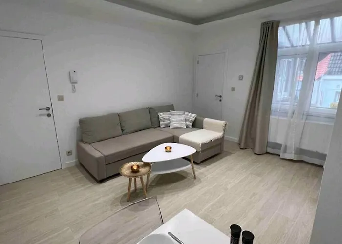 Sublime Calme Cosy & Jacuzzi * Brussels