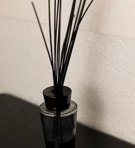 Authentic Belgian Home, Downtown *