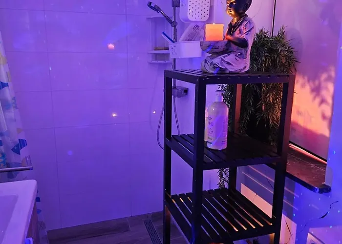 住宿加早餐酒店 Tropical 布鲁塞尔