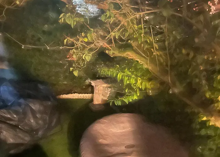 住宿加早餐酒店 Tropical