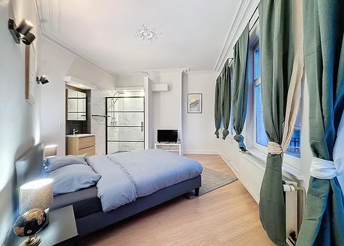 Cosy Moliere 2 * Brussel