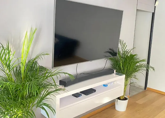 Strelitzyahouse Брюссель