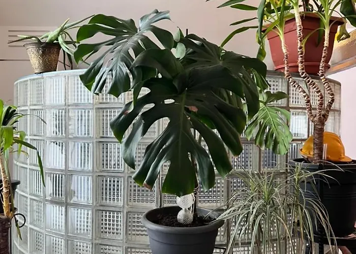 Le Loft Des Artistes *