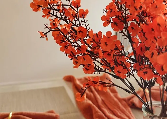 Highgarden - Warm & Cozy بروكسل