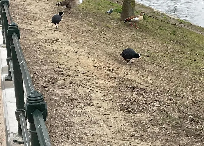 Le Flagey Place Apartament