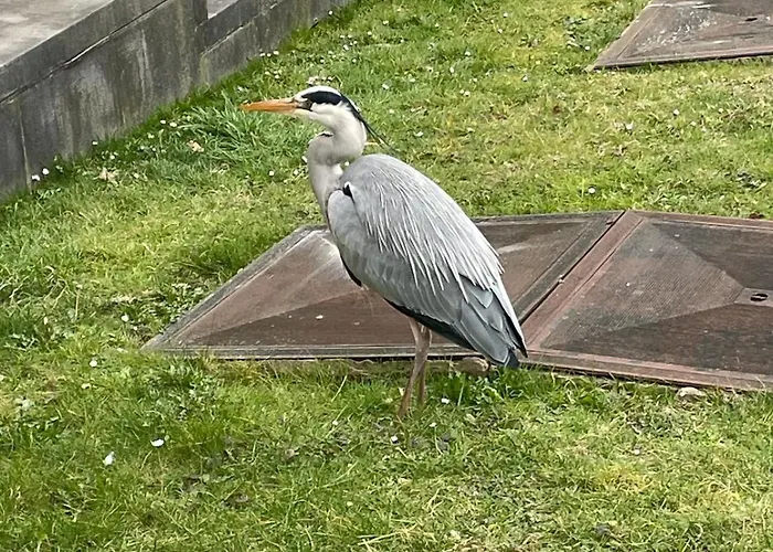 Apartament Le Flagey Place