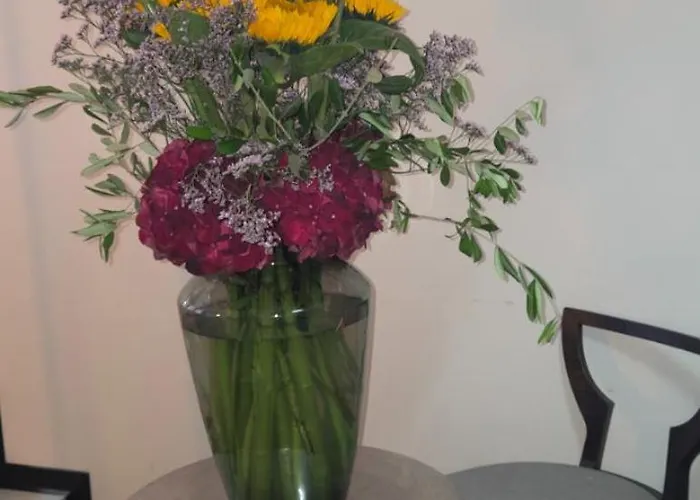 ホテル フローリス アルルカン グランプラス