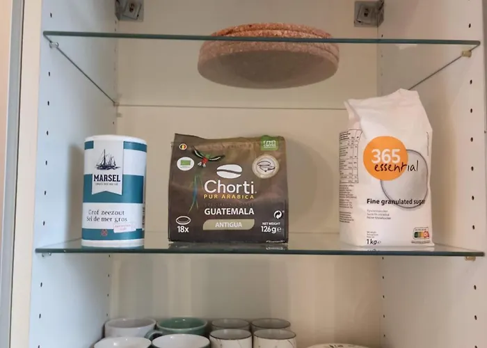 Bright 1br With Terrace Near Montgomery