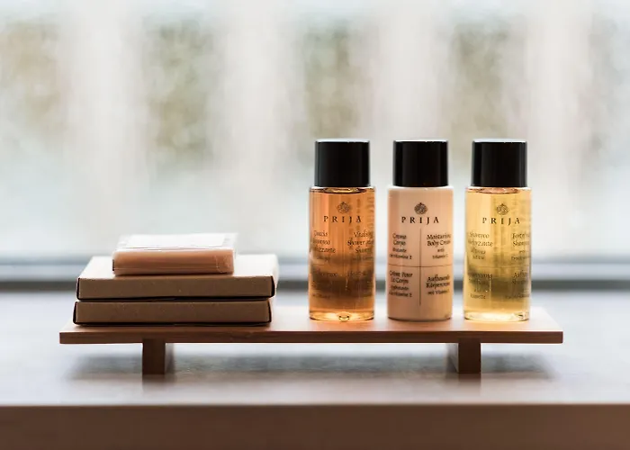 Hotel Pillows Centre 4*