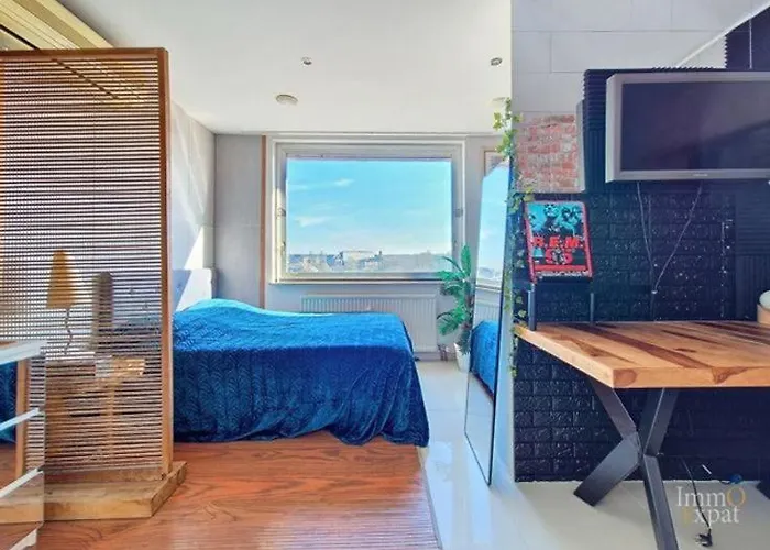 Vaste Et Somptueux à Bruxelles