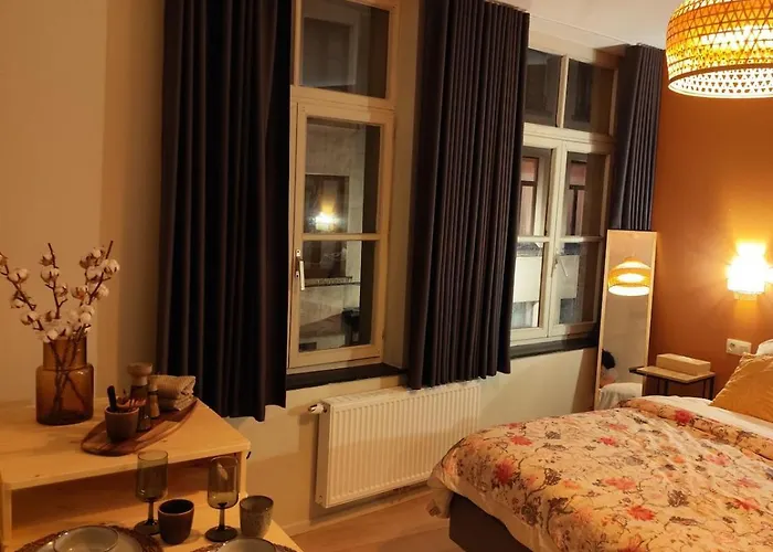 Apartment Cozy Renovated In