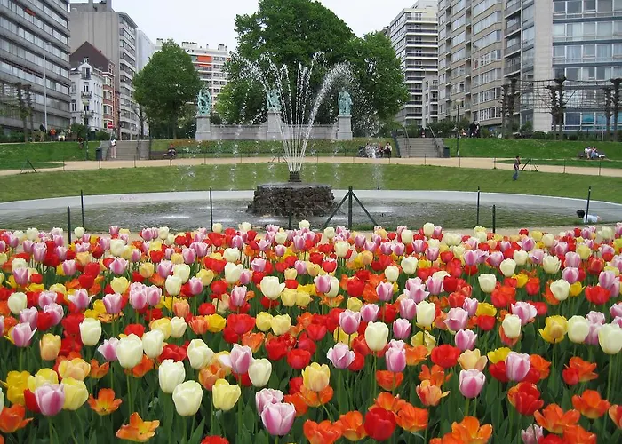 Hotel First Euroflat 4*