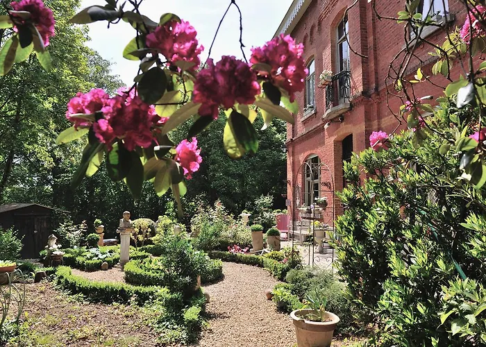 Bed & Breakfast Les Taillis Brusel