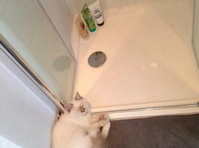 Art Nouveau Floral Appartement